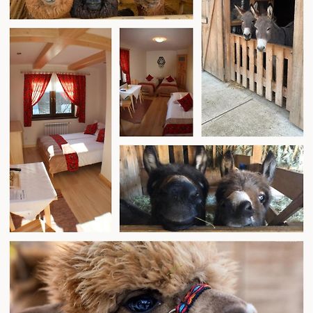 Pokoje Goscinne Jurgowianka Extérieur photo